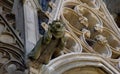 Medieval gargoyle of the Saint-Nazar basilica,Carcassonne,France, Languedoc-Roussillon Royalty Free Stock Photo