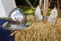 Medieval helmet and axe on hay Royalty Free Stock Photo