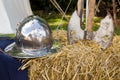 Medieval helmet and axe on hay