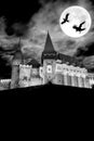 medieval Hunedoara castle in Transylvania, full moon, crows at night - Halloween background