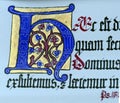 Medieval illuminated manuscript calligraphy in Stari Grad Royalty Free Stock Photo