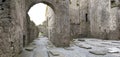 Medieval Irish abbey ruins