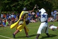 Medieval Jousting Tournament foot combat display Hever Castle