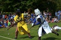 Medieval Jousting Tournament foot combat display Hever Castle