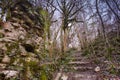 The wall of medieval Khosta fortress in Yew-boxwood grove in spring in Sochi city, Russia