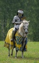 Medieval knight in armor on horseback Royalty Free Stock Photo