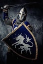 Medieval knight in full armour Royalty Free Stock Photo