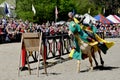 Medieval knight on horseback