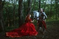 Medieval knight with lady Royalty Free Stock Photo