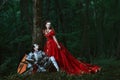 Medieval knight with lady Royalty Free Stock Photo