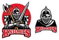 Medieval knight mascot