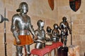 Medieval Knights