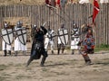Medieval knights fencing Royalty Free Stock Photo