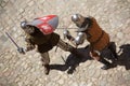 Medieval knights fighting Royalty Free Stock Photo