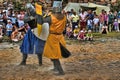 Medieval knights fighting