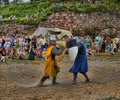 Medieval knights fighting