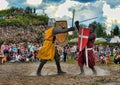 Medieval knights fighting