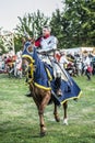 Medieval knights fighting Royalty Free Stock Photo