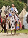 Medieval Knights on Horses, Battle Royalty Free Stock Photo