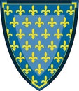 Medieval Knights Shield