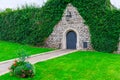 medieval massive door building, vine on a stone