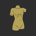 Medieval naked female body statue with breast and waist bohemian aesthetic artwork grunge texture