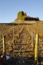 Medieval old tower in vineyard Royalty Free Stock Photo