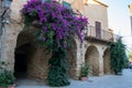 Medieval paved street with arches with climbing plants with lilac flowers