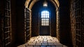 Medieval prison cells, creepy dungeon, dim lights.