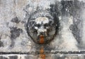 Medieval roman marble fountain in form of bas-relief lion head