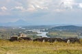 Medieval Rosafa Fortress Wall Overlooking Drin River Valley