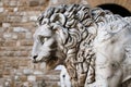 Medieval sculpture of a lion at Piazza della Signoria in Florence, Italy Royalty Free Stock Photo