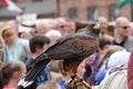 Medieval spectacle in Kuelsheim