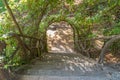 Medieval stairs with vegetation Royalty Free Stock Photo