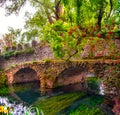 Medieval stone bridge in eden colourful garden vibrant with roses and river Royalty Free Stock Photo