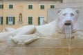 Stone lion to the Piazza Federico II - Jesi Italy
