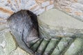 Medieval stone staircase with heavy cellar door in a historic building castle Zollernschloss, Germany Royalty Free Stock Photo