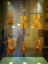 Medieval stringed musical instruments - violins - exhibit at the museum of the Sforzesco Castle - Castello Sforzesco in Milan,