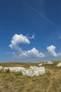 Medieval tombstones in Morine, near Pluzine in Bosnia and Herzegovina Royalty Free Stock Photo