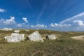 Medieval tombstones in Morine, near Pluzine in Bosnia and Herzegovina Royalty Free Stock Photo