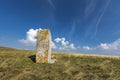 Medieval tombstones in Morine, near Pluzine in Bosnia and Herzegovina Royalty Free Stock Photo