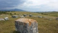 Medieval tombstones