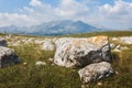 Medieval tombstones, stecci in Durmitor National park, Montenegro, Europe