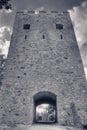 Medieval tower