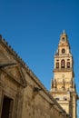 Medieval tower and garden in old mosque in Cordoba, Andalusia, Spain Royalty Free Stock Photo