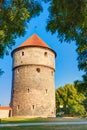 Medieval Tower Kiek-in-de-Kok In Park On Hill Toompea In Tallinn