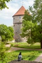 Medieval tower Kiek in de Kok and pigeon in the park on the hill Toompea, Tallinn