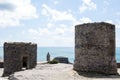 Medieval Towers Rovine