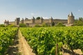 Medieval town of Carcassonne and vineyards Royalty Free Stock Photo