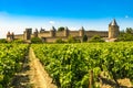 Medieval town of Carcassonne and vineyards, France Royalty Free Stock Photo